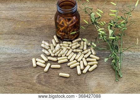 Colorful Drug Pill In Black Bottle And Dried Of Andrographis Paniculata Plant On Wooden Background