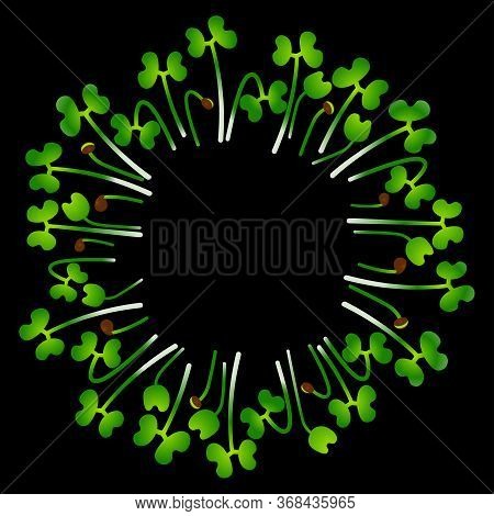 Microgreens Tatsoi. Arranged In A Circle. White Background. Black Background