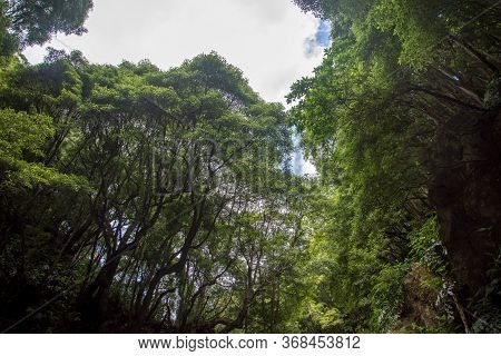 Walk And Discover The Prego Salto Waterfall On The Island Of Sao Miguel, Azores