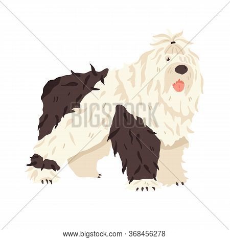 Cute Big Dog Bobtail. Animal Flat Vector Illustration. Long Haired Breed Pet Grooming Fan. Good For 