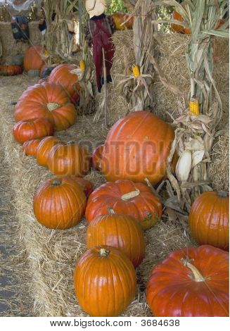 Riga di zucche di Halloween