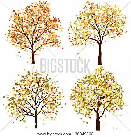 Satz von vier Herbst Baum