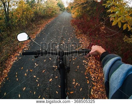 Cyclist On A Bicycle First-person View On A Forest Path.