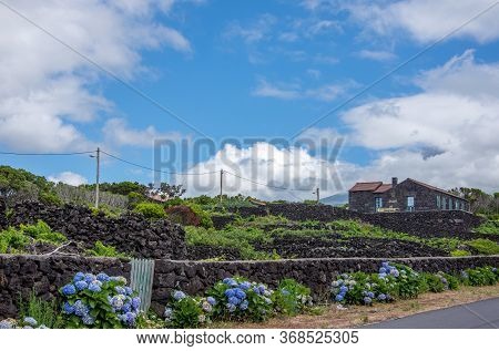Walk On The Azores Archipelago. Discovery Of The Island Of Pico, Azores. Portugal. , Azores. Madalen