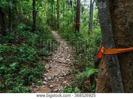 Hiking Up The Pathway Of The Monks To Doi Suthep - Chiang Mai / Thailand