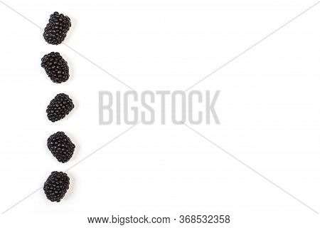 Five Balckberries In Column On A White Background With Copy Space