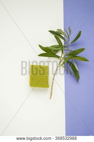 Flat Lay Of An Olive Branch, Handmade Olive Soap Bars And Sea Shells On Purple And White Background.