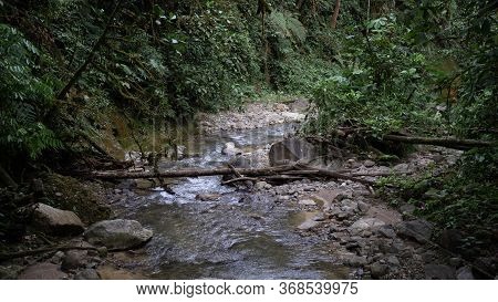 Little River Inside Of Podocarpus National Park, Ecuador
