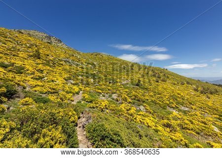 View Of The Surrounding Area Of Peñalara Mountain In Madrid (spain)