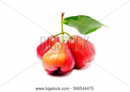 Three Fresh Organic Rose Apples Isolated On White Background.