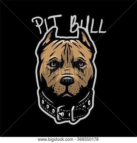 Pit Bull Head With A Collar On A Dark Background. Vector Illustration.