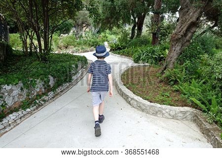 Rear View Of A Boy Walking Along A Footpath Bewteen Trees