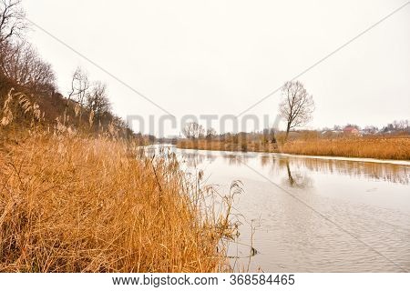 River Bank With Yellow Dry Grass, Autumn River, Autumn Landscape, Dry Grass