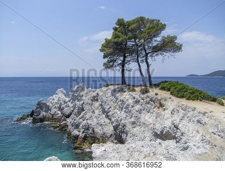Trees At Amarantos Rocks At Skopelos Island At The Sporades In Greece
