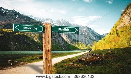Street Sign The Direction Way To Flexible Versus Inflexible