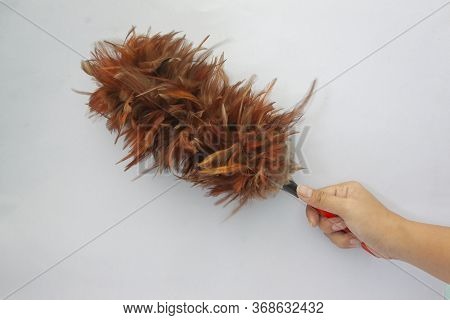 Hand Holding Brown Feather Duster For Cleaning Dust.