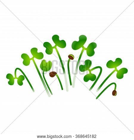 Microgreens Tatsoi. Bunch Of Plants. White Background