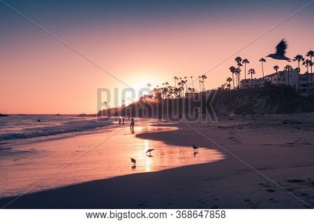 Laguna Beach In Beautiful Purple Sunset Light