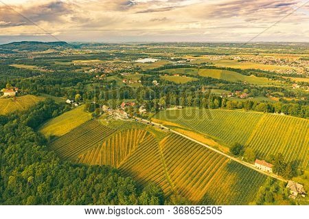 Austria Vineyards In Spring Landscape. Leibnitz Area In South Styria, Wine Country. Tuscany Like Pla