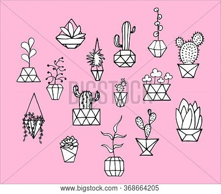 Doodle Plant In Faceted Pot Set. Hand-drawn Leaves, Succulents, Cactus With Poly Flower Pot. Outline