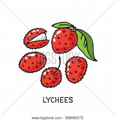 Doodle Lychees Isolated On White Background. Vector Illustration. Design Element For Greeting Card, 