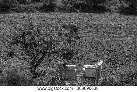 Black And White, Abstract, Random White Couches In Nature
