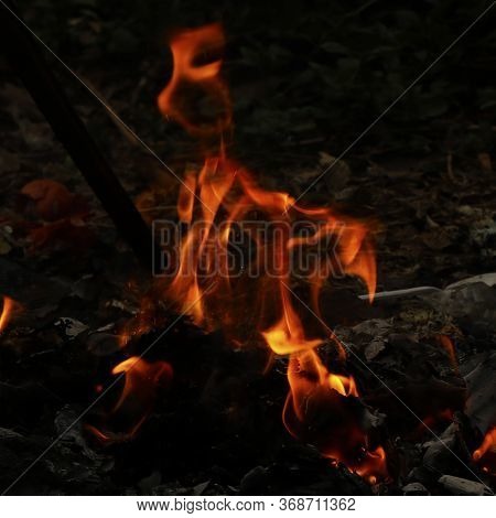 Fire Flames In The Dark Background, Rural Sceane