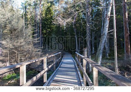 The View Of Wooden Bridge Across Forest At Tyresta National Park, Sweden.