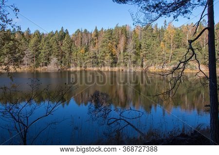 The View Of Lake And Conifer Trees On Background At Tyresta National Park, Sweden.