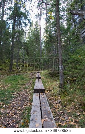 The View Of Wooden Path Through Forest At Tyresta National Park, Sweden.