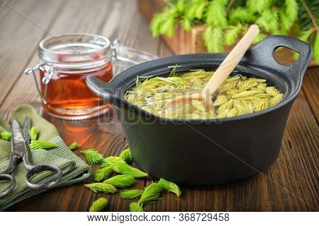 Cooked Spruce Tips In A Black Pan, Jar Of  Honey Or Syrup From Fir Buds And Needles, Twigs Of Fir Tr