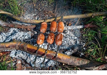 Cooking At A Stake In A Wild Forest Away From Civilization. Grill Barbecue With Skewers In Nature. S