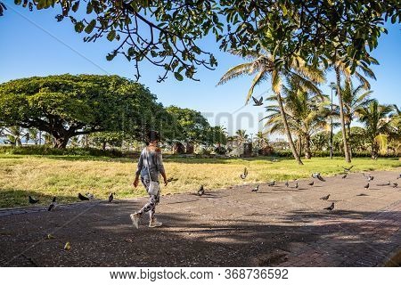 Pigeons Durban City Beachfront View Promenade