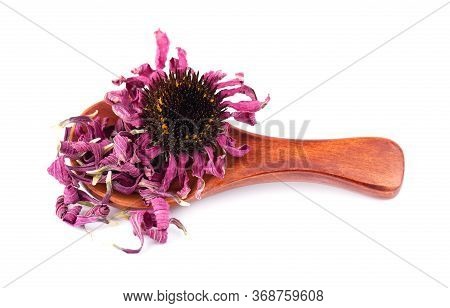 Dried Echinacea Flowers On Wooden Spoon, Isolated On White Background. Petals Of Echinacea Purpurea.