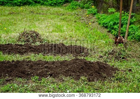 Two Freshly Dug Seedbeds In Vegetable Garden. Spring Season In Countryside