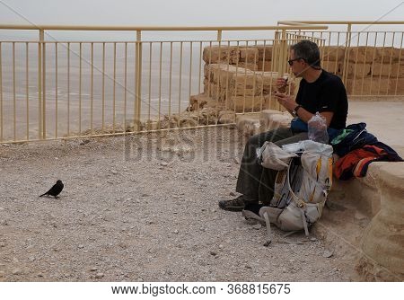Ein Bokek, Israel - December 14, 2019: Tristram's Starling Asks For Food From The Tourist In Masada 