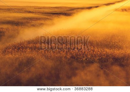 Mystic landskap
