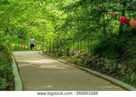 Haeinsa-gil, South Korea; May 26, 2020: Unidentified Person Walking Up Concrete Hiking Trail Leading