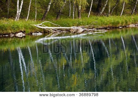 Fiume di Altai Kumir