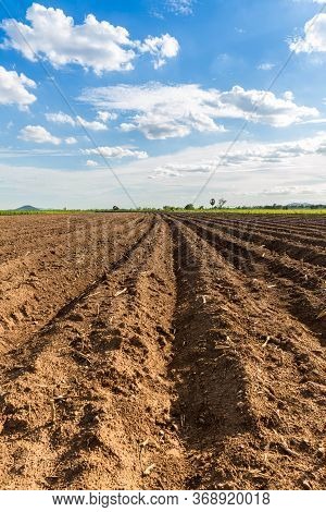 Rows Of Soil Before Planting. Furrows Row Pattern In A Plowed Field Prepared For Planting Crops In S