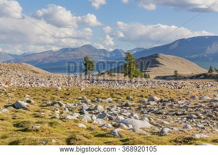 Mongolia Landscape. Altai Tavan Bogd National Park In Bayar-ulgii