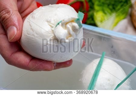 Cheese Maker Holds In Hand Fresh Soft Italian Cheese From Puglia, White Balls Of Burrata Or Burratin