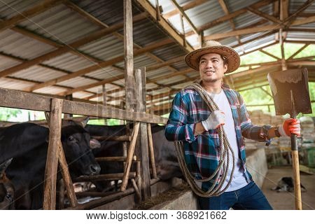Asian Farmer With Wagyu - Japanese Shorthorn, Portrait Of A Wagyu Cow Of Japanese Origin In Farm Tha