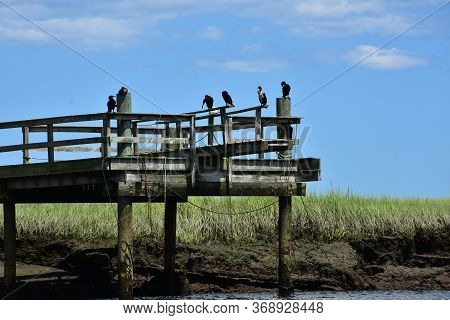 Dock With Birds Sitting On The End Of It Over A River.