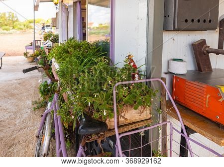 Kanaf, Israel, May 29, 2020 : The Flower Laden Courtyard Of The Azizo Lavender Farm In The Kanaf Set