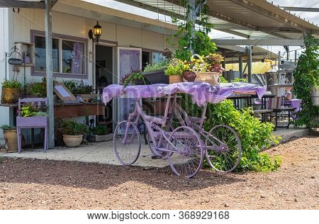 Kanaf, Israel, May 29, 2020 : A Courtyard Decorated In Purple At The Azizo Lavender Farm In The Kana