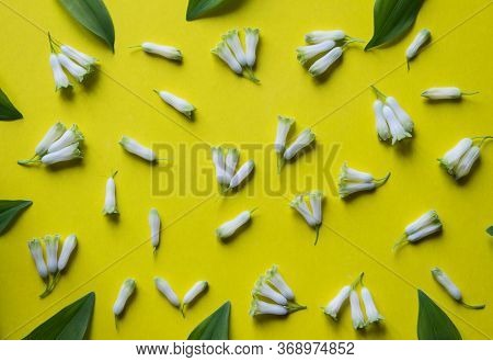 Floral Pattern Of Solomon's Seal (polygonatum Multiflorum) On Yellow Background. Floral Background. 