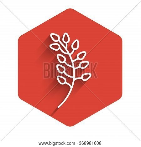 White Line Willow Leaf Icon Isolated With Long Shadow. Red Hexagon Button. Vector Illustration.
