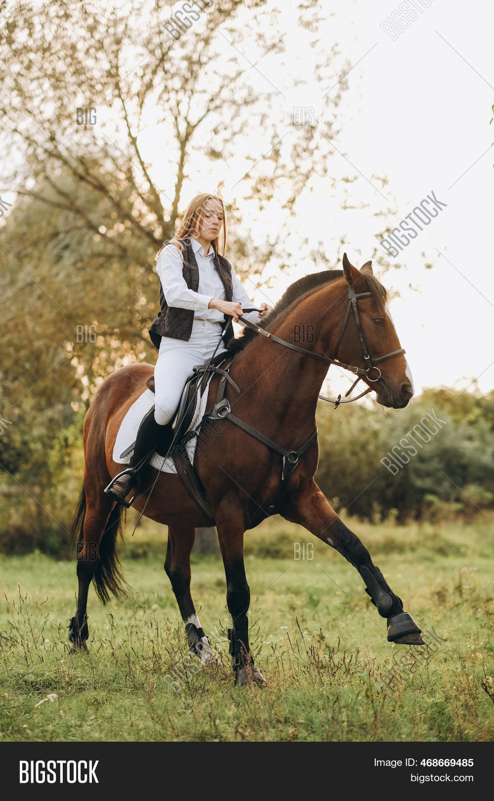 Woman Jockey Trains Image & Photo (Free Trial) Bigstock