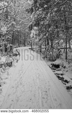 Nice Winter Landscape In The Estrie Region Of Quebec, Canada